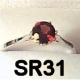 SR31